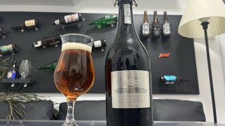 死前可以尝尝的精酿啤酒|百威的高级货🍺