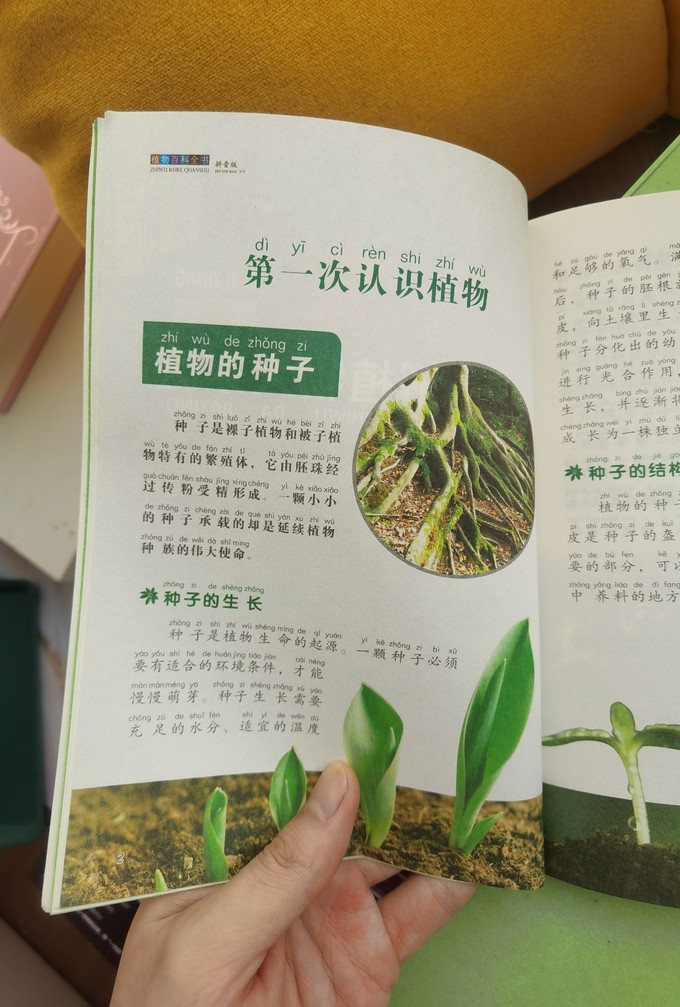 植物百科全书内容简介图片