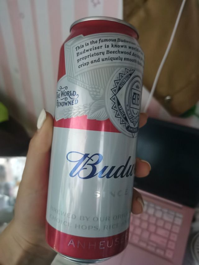 Budweiser/百威啤酒迷你255ml*24罐装啤酒整