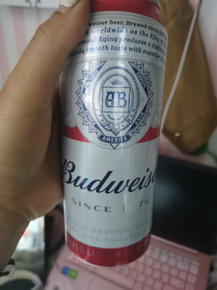 Budweiser/百威啤酒迷你255ml*24罐装啤酒整