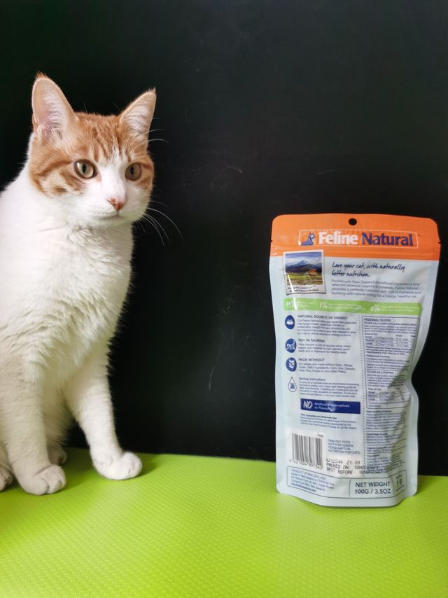 不到40元的K9猫冻干，你入了没？