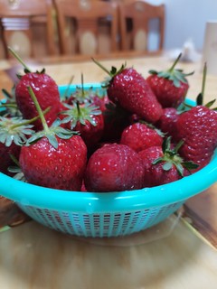 露营必备宝藏水果—草莓