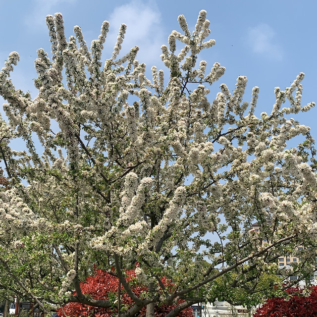 一个不懂茶的人，家里的茶叶品种可不少
