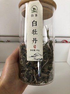 春天不要错过一杯白茶——白牡丹