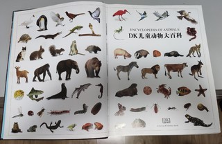 《DK儿童动物大百科》让孩子在家逛动物园