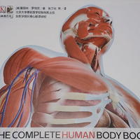 探索人体的奥秘——《DK人体大百科》