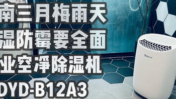 90后三口之家的慢慢添置路 篇六十五：江南三月梅雨天，除湿防霉要全面----德业空净除湿机DYD-B12A3 