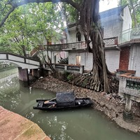 春日春色佛山游-夏漖粮园