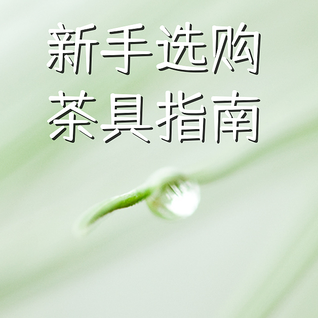 新手饮茶入门（一）—选购茶具指南
