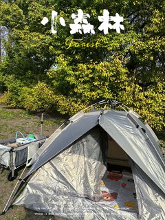 春天遛娃首选露营⛺️