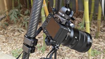相机手机两用碳纤维三脚架 轻便稳定小巧便携