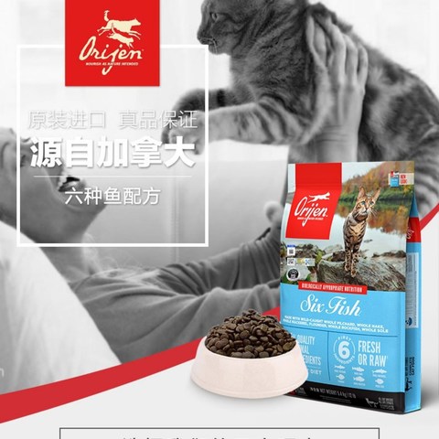 养猫猫的家庭一定不能错过这些猫粮