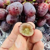 美食分享 篇六：草莓味的葡萄，值得一尝
