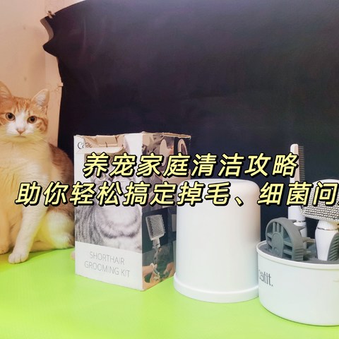 养宠后清洁卫生做到位了吗？带你看看我的清洁经验