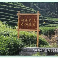 网易严选新推出的2023年新茶