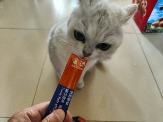 盒边猫条到货了，金枪鱼味道的就是好吃