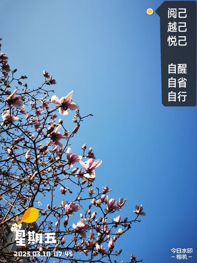 今天你 裸K 了吗？