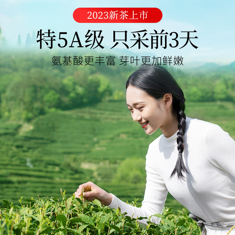 中国十大名茶是哪些？一起来学习。