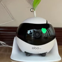 聊一聊陪娃逗宠的小玩意儿-enabot ebo Air机器人