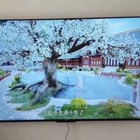 家中海信电视65英寸4K超高清液晶电视机