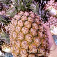这是菠萝还是凤梨？