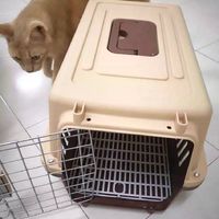 猫猫宠物航空箱