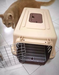 猫猫宠物航空箱