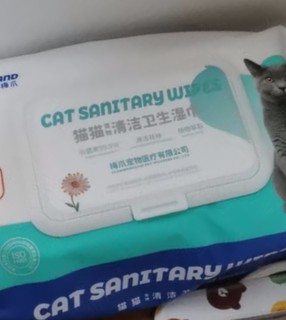 猫咪清洁好物分享！