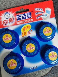 洗手间马桶必备的蓝洁灵