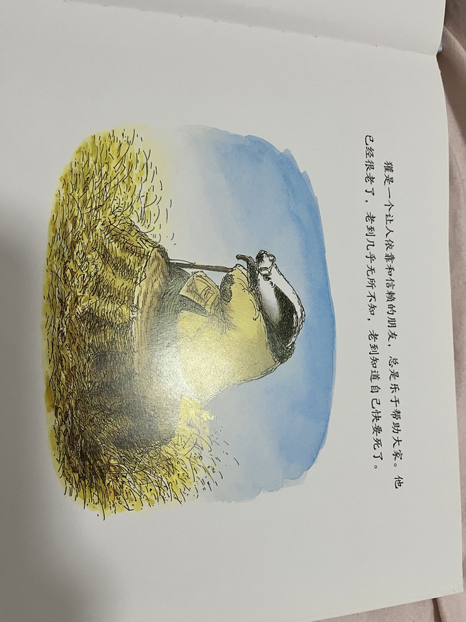 绘本/图画书