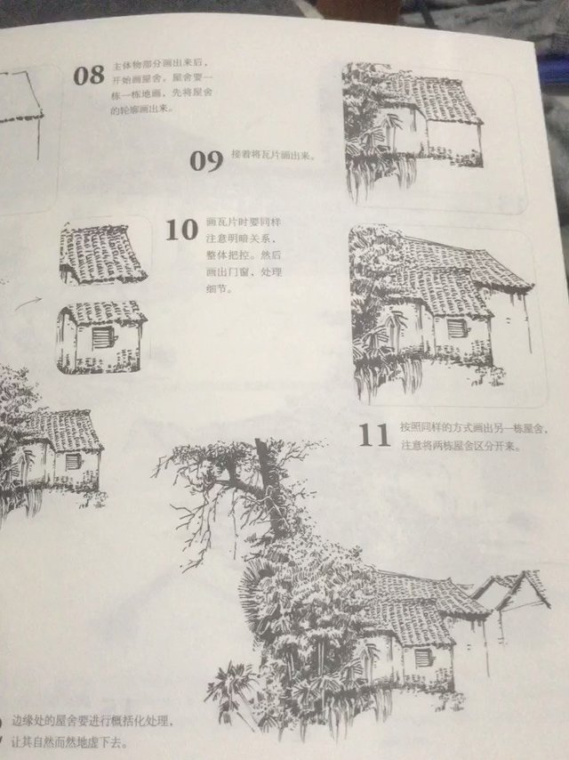 学画画这一本书就够了