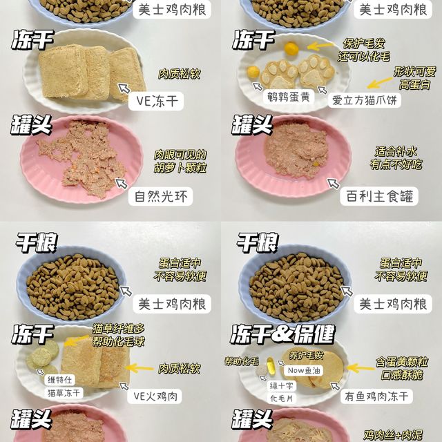 猫咪配餐|多猫家庭喜欢干湿分离喂养