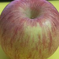 吹爆延安富县的红富士苹果，脆脆的，小酸甜口