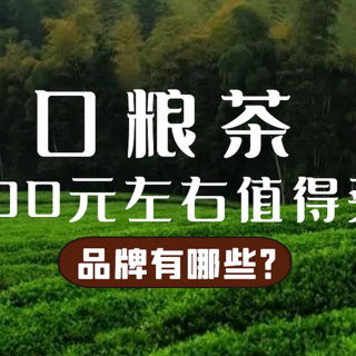 易志明说茶 篇二：2023年茶叶推荐选购终极指南，100元左右值得买的口粮茶有哪些？