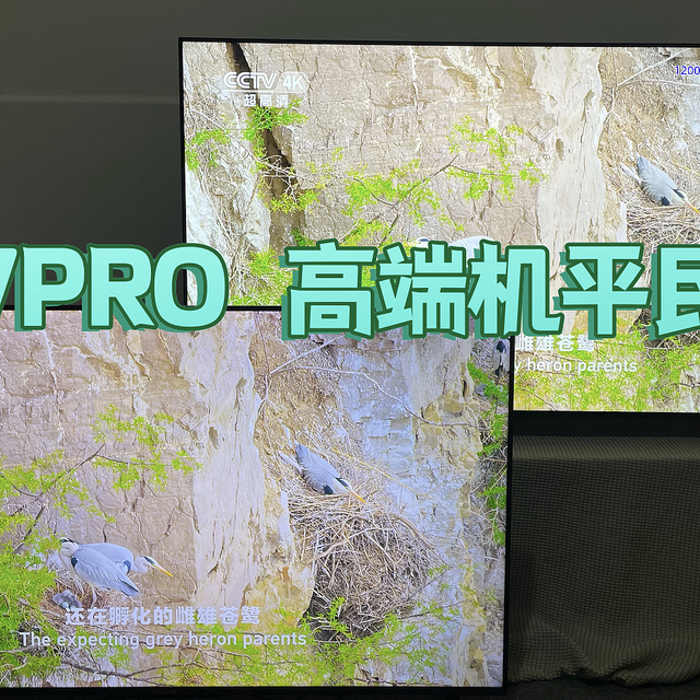 高端电视平民价—Mini LED雷鸟电视鹤7PRO开箱！