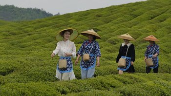 品一场绿茶盛宴，赏湄潭茶海美景！！这美景配上好茶叶🍵🍵🍵，享受！