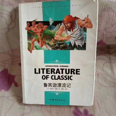 一定要陪孩子读一次《鲁滨逊漂流记》，面对困难永不妥协