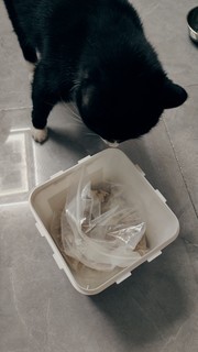 让小猫猫无法拒绝的零食桶