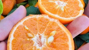 美食分享 篇十七：明日见柑橘，我们天天见不好吗