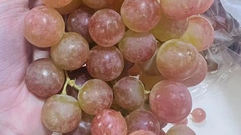 美食分享 篇十八：白玫瑰葡萄，颜值在葡萄界中绝对是妥妥的C位