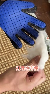 这个手套，边撸猫边梳毛，舒服的咕咕咕