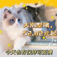 喵星人大别墅推荐，低至52.82元起