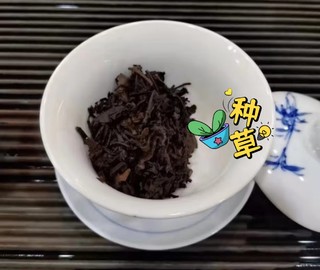 普洱茶熟普跟生普怎么区分？