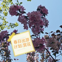 春日出游计划☞公园赏花