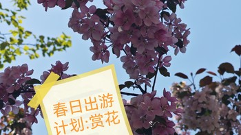 春日出游计划☞公园赏花