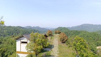 露营地点安利：种满茶树的山头，露营的好地方。