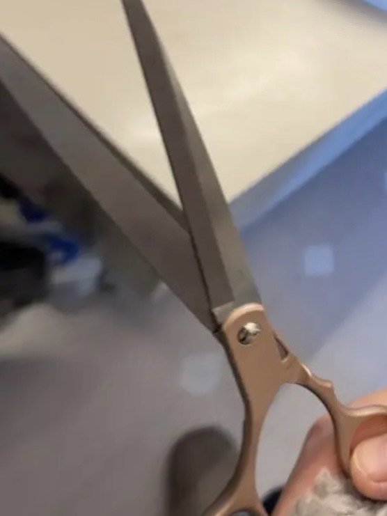 养宠家庭必备好物。小猫喵喵 宠物美容剪刀