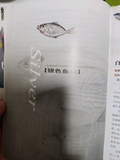 下本有趣的图书，菜市场鱼图鉴