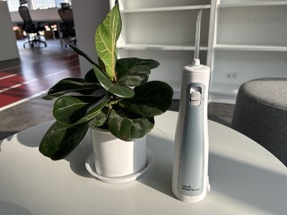 这款小巧的 Waterpik 洗牙器不输大型洁牙仪