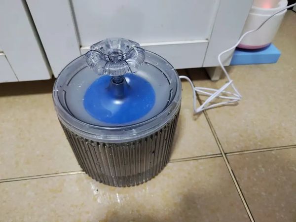 同心惢猫咪饮水机，防干烧，自动循环，必备